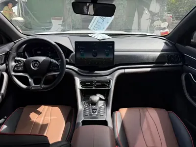 BYD PLUS