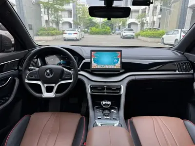 BYD PLUS