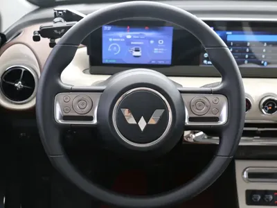 Wuling Bingo