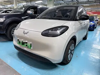 Wuling Bingo