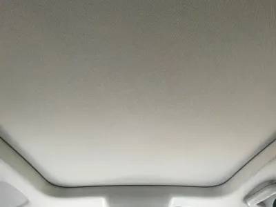 ORA Ora Good Cat