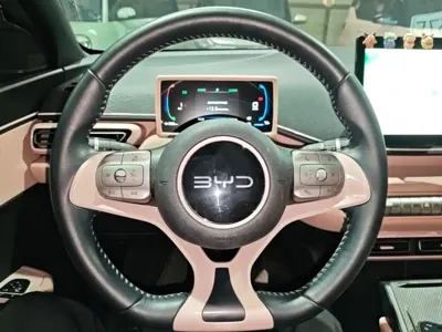 BYD Seagull