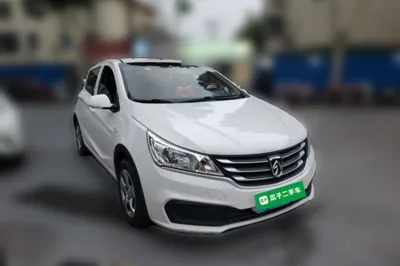Baojun 310