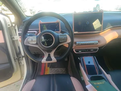 BYD Seagull