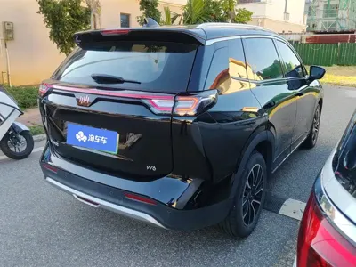 WM Motor W6