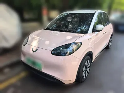 Wuling Bingo