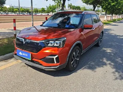 Venucia T60 EV