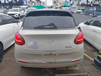 Wuling Bingo