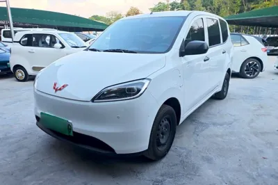 Wuling Hongguang New Energy