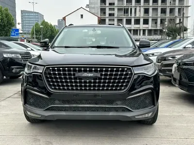 Zotye Zotye T700