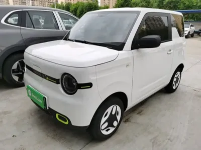 Galaxy Panda
