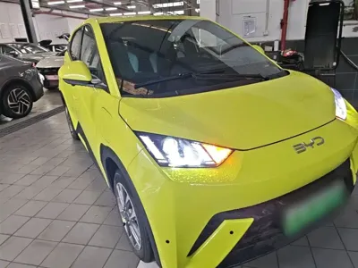 BYD Seagull