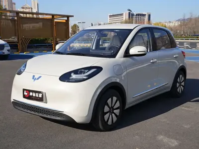 Wuling Bingo