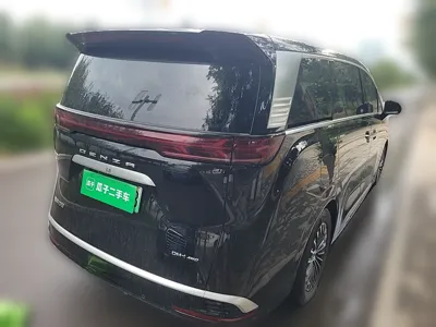 Denza D9