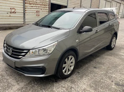 Baojun 310W