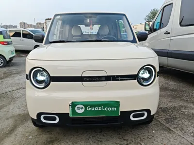 Geely Galaxy Panda