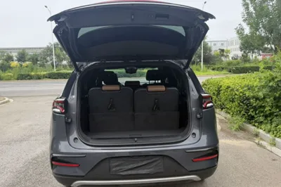 BYD Tang New Energy