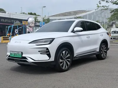 BYD PLUS New Energy