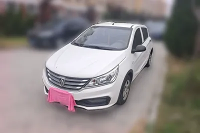 Baojun 310