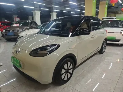 Wuling Bingo