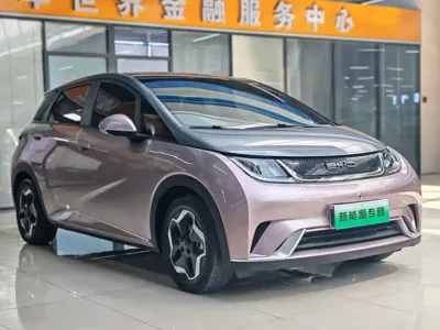 BYD Dolphin