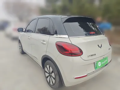 Wuling Bingo