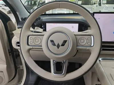 Wuling 缤果S
