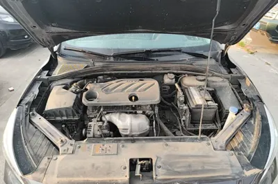 MG 5