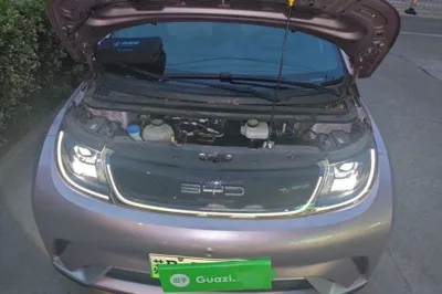 BYD Dolphin
