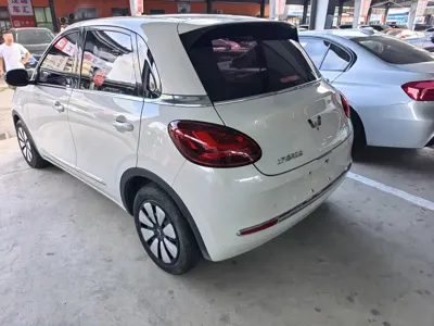 Wuling Bingo