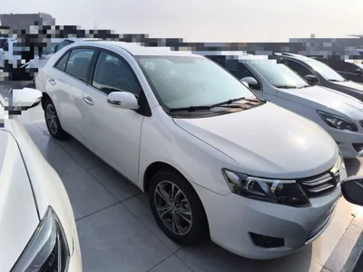 Zotye Z300