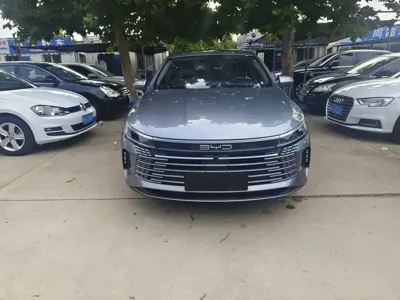 BYD Destroyer 05
