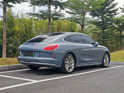 ORA Ora Lightning Cat