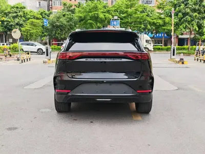BYD Tang New Energy