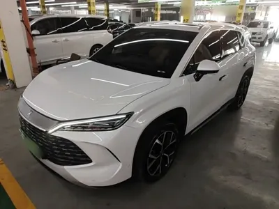 BYD L DM-i