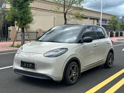Wuling Bingo
