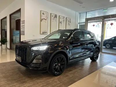 Hongqi Hongqi HS5