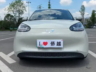 Wuling Bingo