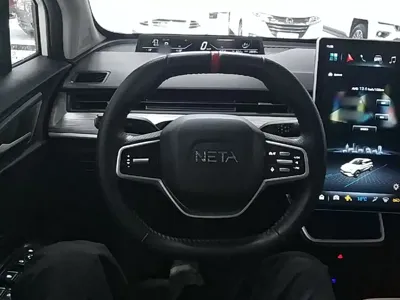 NETA Neta V
