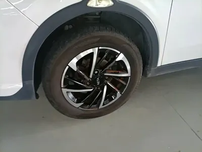 NETA Neta V