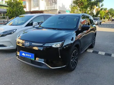 WM Motor W6