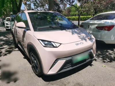 BYD Seagull