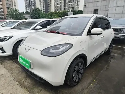 Wuling Bingo