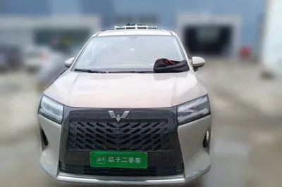 Wuling Wuling Starlight 730