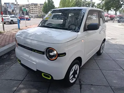 Galaxy Panda