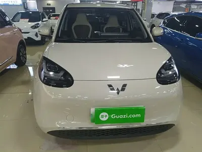 Wuling Bingo