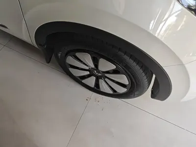 Wuling Bingo