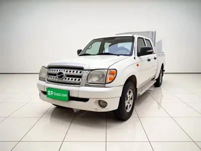ZX Auto 小老虎