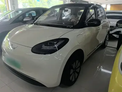 Wuling Bingo