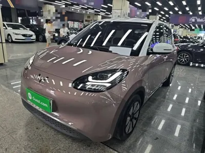 Wuling Bingo